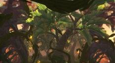 魔兽世界7.0黑心林地攻略