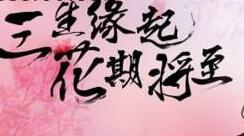 身如其境体验三生奇缘 51《三生三世十里桃花》颜值不够战力来凑