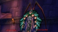 魔兽世界怀旧服：装备出了，倒数结束还能喊，是DKP还是金团？