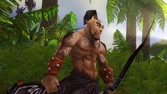 魔兽世界怀旧服：70版本新变化，防骑要取代防战，熊也跃跃欲试