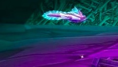 魔兽世界怀旧服：团本进不去，只能PVP？很多盗贼在双采闷声赚钱