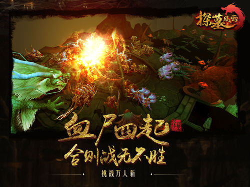 探墓风云