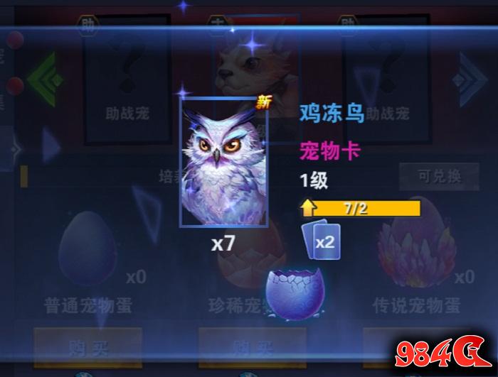 神之荣耀