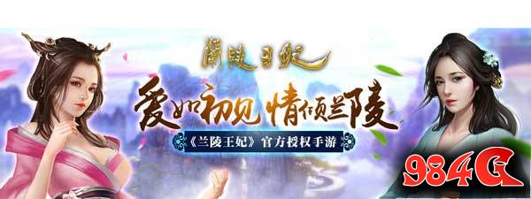 兰陵王妃