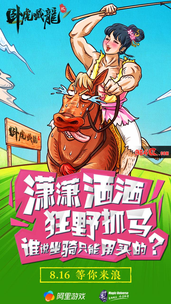 卧虎藏龙贰
