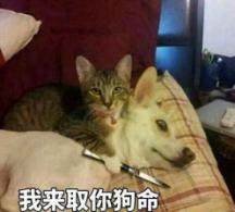 虎豹骑