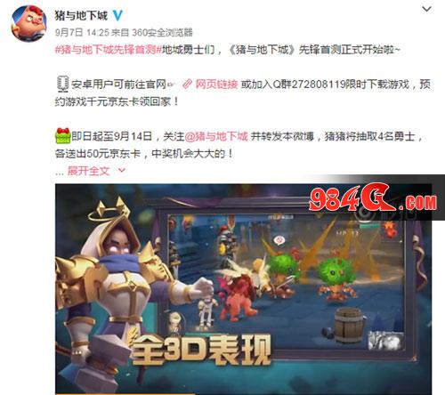 猪与地下城