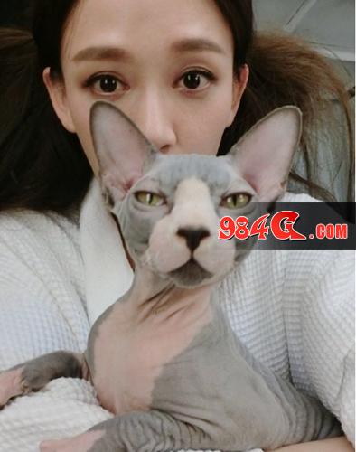 传送门骑士