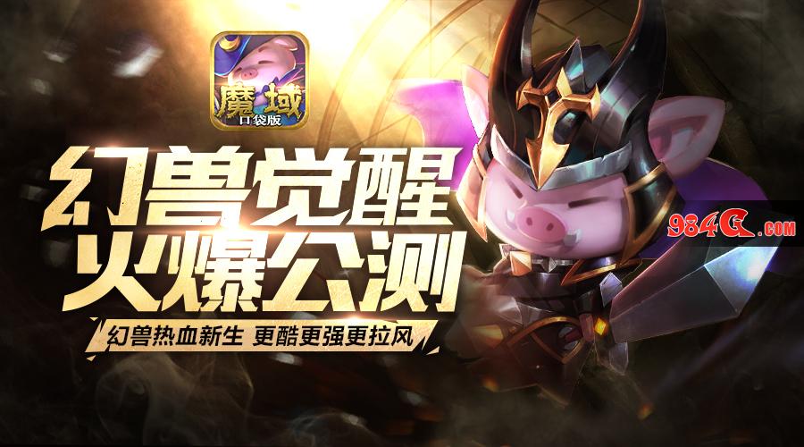 魔域口袋版