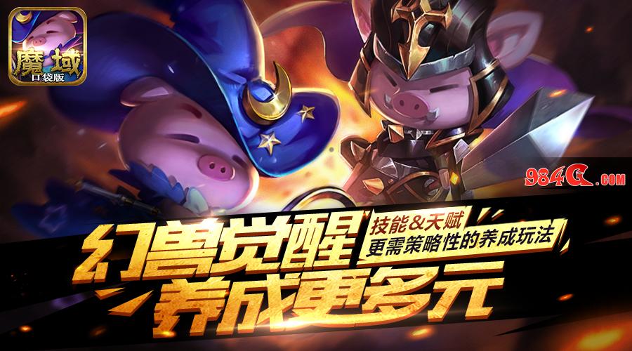 魔域口袋版