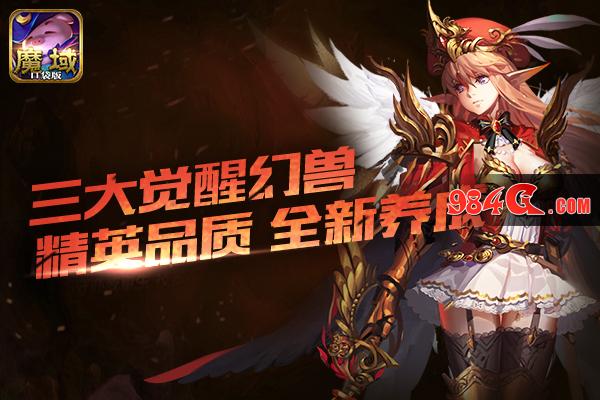 魔域口袋版