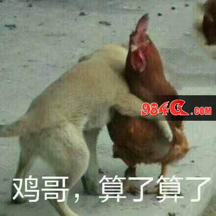 心动网络，手机帝国